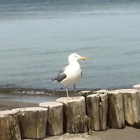 Διαμέρισμα Parkblick