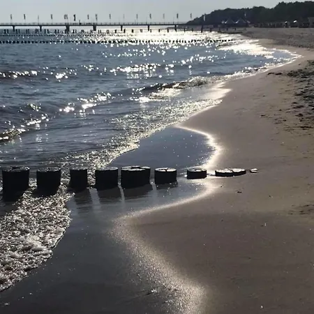 Parkblick Zingst